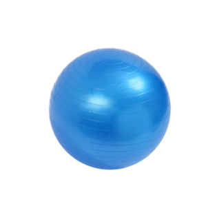 Therapy Ball (Swiss Ball) – Balance & Core strength