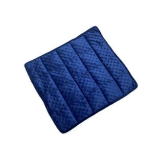 Weighted Vest / Lap Pad